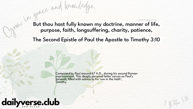Bible Verse Wallpaper 3:10 from The Second Epistle of Paul the Apostle to Timothy