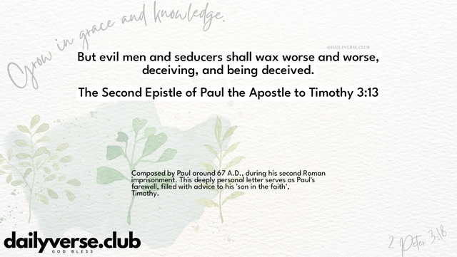 Bible Verse Wallpaper 3:13 from The Second Epistle of Paul the Apostle to Timothy