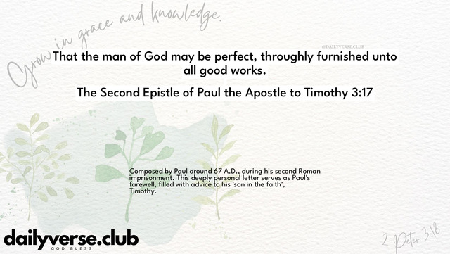 Bible Verse Wallpaper 3:17 from The Second Epistle of Paul the Apostle to Timothy