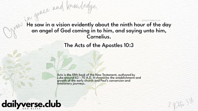 Bible Verse Wallpaper 10:3 from The Acts of the Apostles