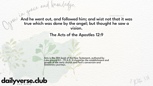 Bible Verse Wallpaper 12:9 from The Acts of the Apostles