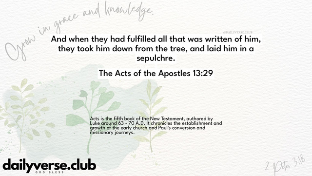 Bible Verse Wallpaper 13:29 from The Acts of the Apostles