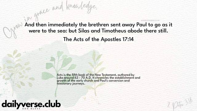 Bible Verse Wallpaper 17:14 from The Acts of the Apostles