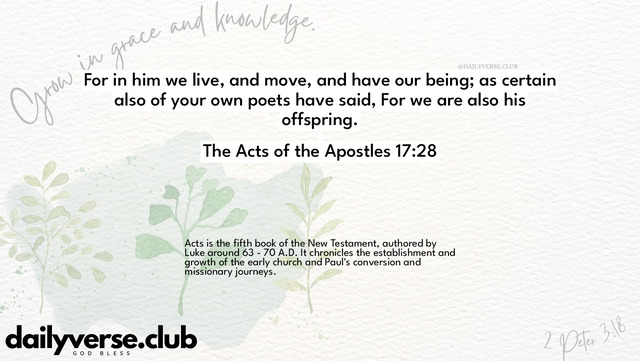 Bible Verse Wallpaper 17:28 from The Acts of the Apostles