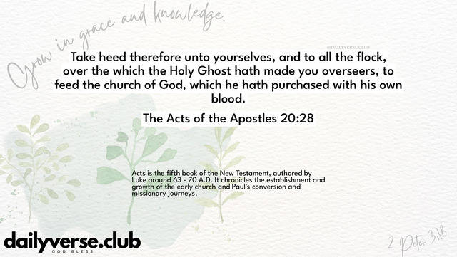 Bible Verse Wallpaper 20:28 from The Acts of the Apostles