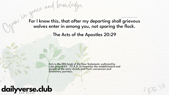 Bible Verse Wallpaper 20:29 from The Acts of the Apostles