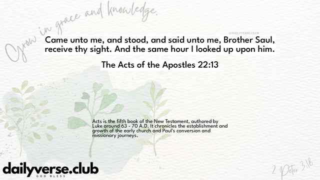 Bible Verse Wallpaper 22:13 from The Acts of the Apostles