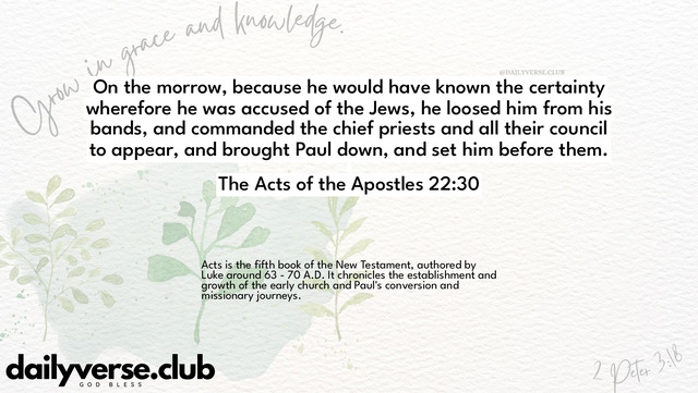 Bible Verse Wallpaper 22:30 from The Acts of the Apostles