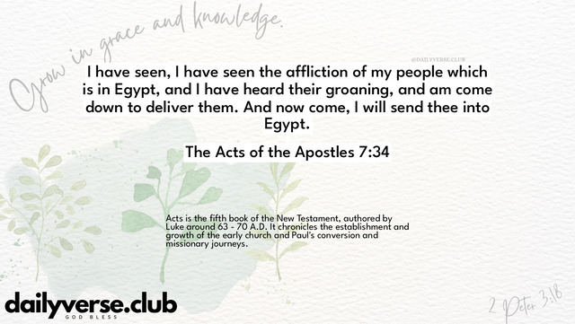 Bible Verse Wallpaper 7:34 from The Acts of the Apostles