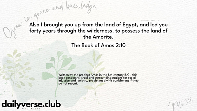 Bible Verse Wallpaper 2:10 from The Book of Amos