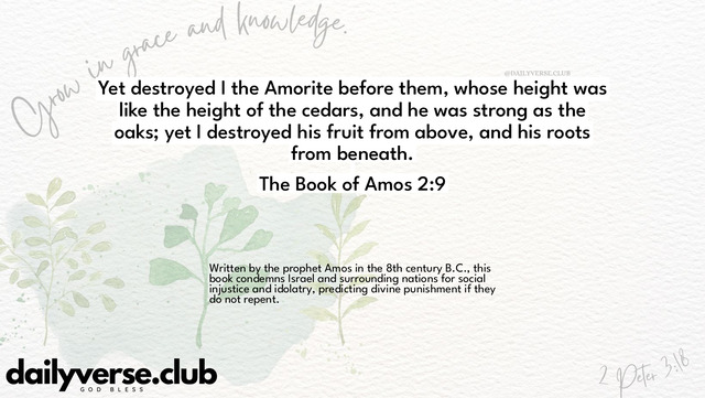 Bible Verse Wallpaper 2:9 from The Book of Amos