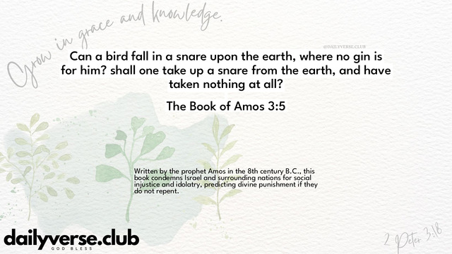 Bible Verse Wallpaper 3:5 from The Book of Amos