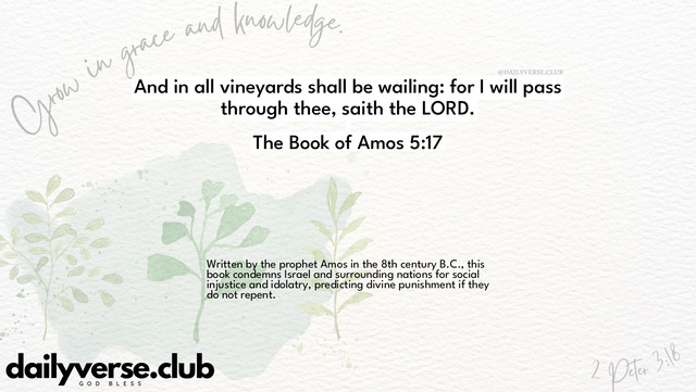 Bible Verse Wallpaper 5:17 from The Book of Amos