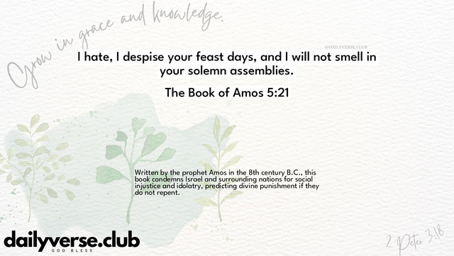 Bible Verse Wallpaper 5:21 from The Book of Amos