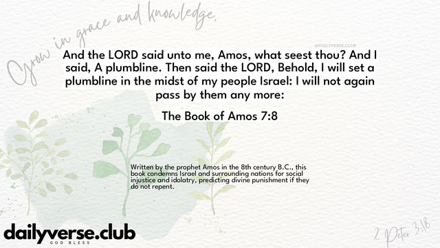 Bible Verse Wallpaper 7:8 from The Book of Amos