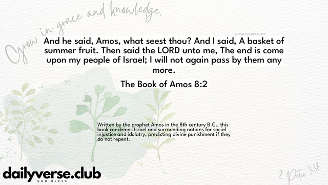 Bible Verse Wallpaper 8:2 from The Book of Amos
