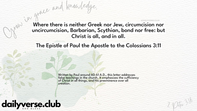 Bible Verse Wallpaper 3:11 from The Epistle of Paul the Apostle to the Colossians