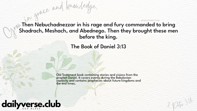 Bible Verse Wallpaper 3:13 from The Book of Daniel