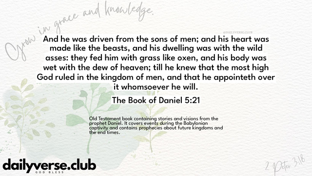 Bible Verse Wallpaper 5:21 from The Book of Daniel
