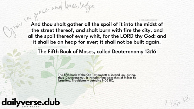Bible Verse Wallpaper 13:16 from The Fifth Book of Moses, called Deuteronomy