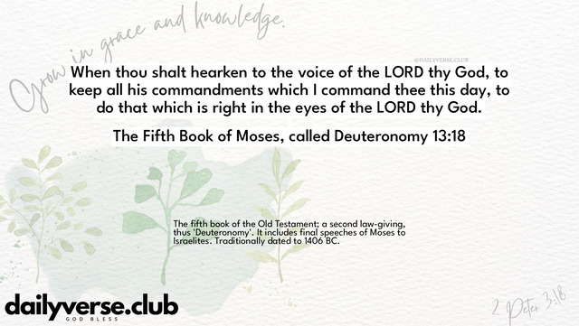 Bible Verse Wallpaper 13:18 from The Fifth Book of Moses, called Deuteronomy