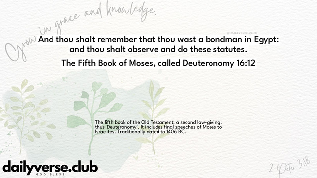 Bible Verse Wallpaper 16:12 from The Fifth Book of Moses, called Deuteronomy