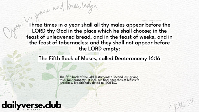 Bible Verse Wallpaper 16:16 from The Fifth Book of Moses, called Deuteronomy