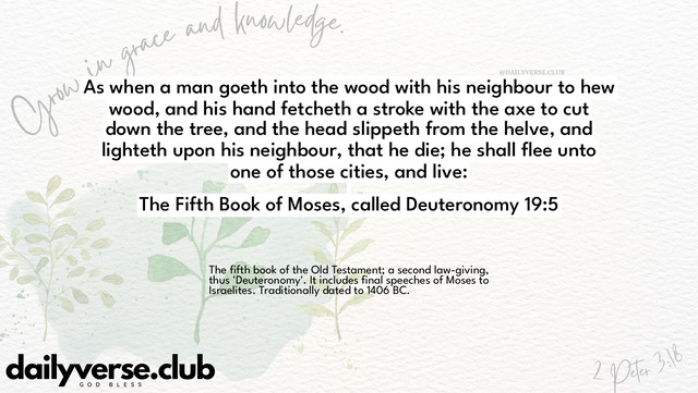 Bible Verse Wallpaper 19:5 from The Fifth Book of Moses, called Deuteronomy