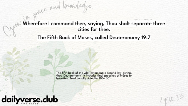 Bible Verse Wallpaper 19:7 from The Fifth Book of Moses, called Deuteronomy