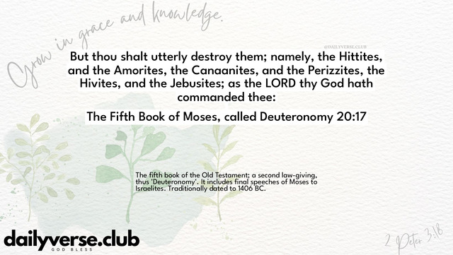 Bible Verse Wallpaper 20:17 from The Fifth Book of Moses, called Deuteronomy