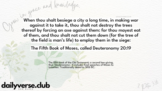 Bible Verse Wallpaper 20:19 from The Fifth Book of Moses, called Deuteronomy