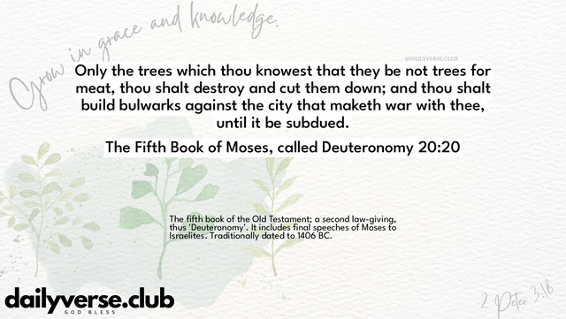 Bible Verse Wallpaper 20:20 from The Fifth Book of Moses, called Deuteronomy