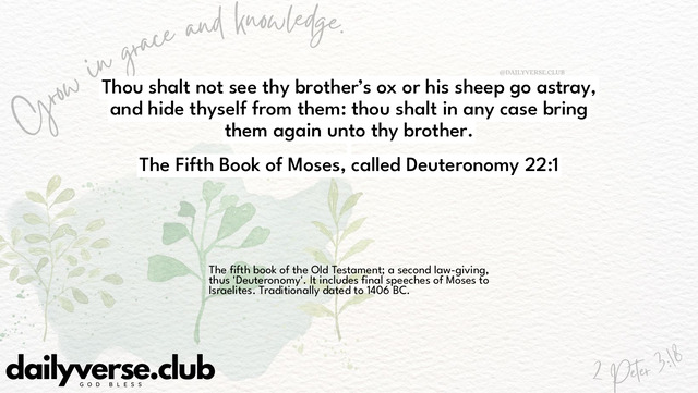Bible Verse Wallpaper 22:1 from The Fifth Book of Moses, called Deuteronomy