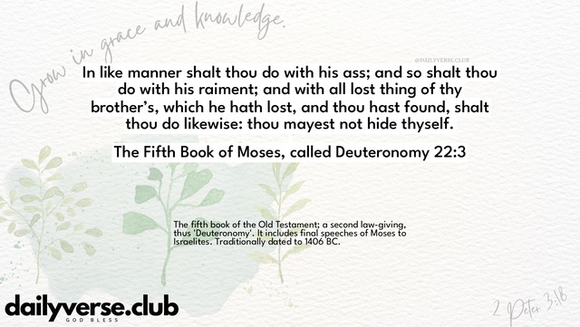 Bible Verse Wallpaper 22:3 from The Fifth Book of Moses, called Deuteronomy