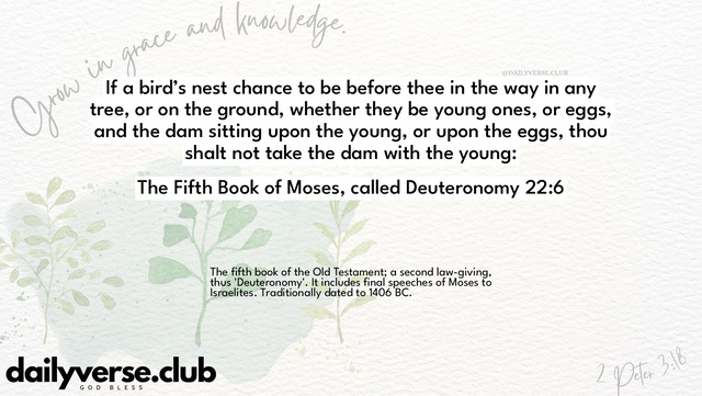 Bible Verse Wallpaper 22:6 from The Fifth Book of Moses, called Deuteronomy