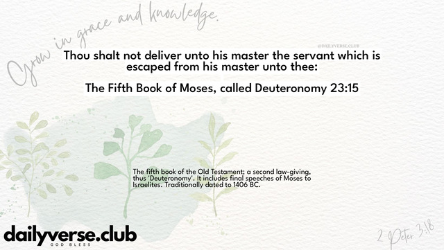 Bible Verse Wallpaper 23:15 from The Fifth Book of Moses, called Deuteronomy