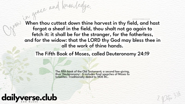 Bible Verse Wallpaper 24:19 from The Fifth Book of Moses, called Deuteronomy