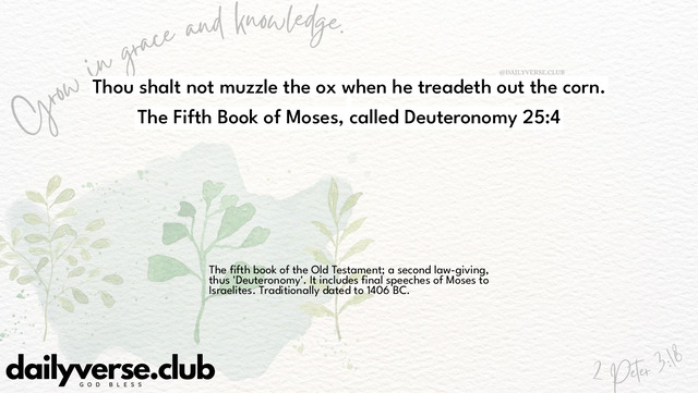 Bible Verse Wallpaper 25:4 from The Fifth Book of Moses, called Deuteronomy