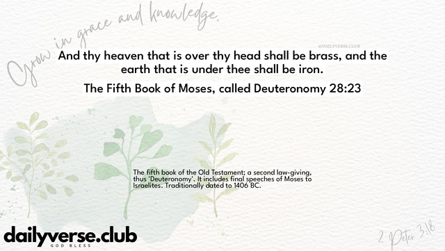 Bible Verse Wallpaper 28:23 from The Fifth Book of Moses, called Deuteronomy