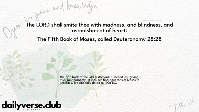 Bible Verse Wallpaper 28:28 from The Fifth Book of Moses, called Deuteronomy