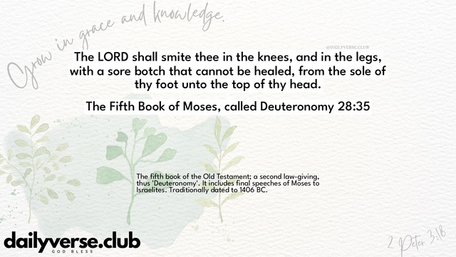 Bible Verse Wallpaper 28:35 from The Fifth Book of Moses, called Deuteronomy