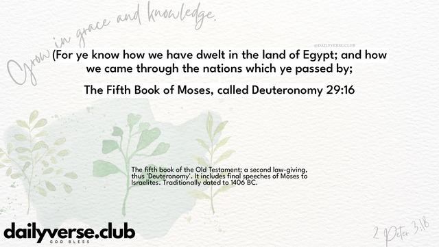 Bible Verse Wallpaper 29:16 from The Fifth Book of Moses, called Deuteronomy