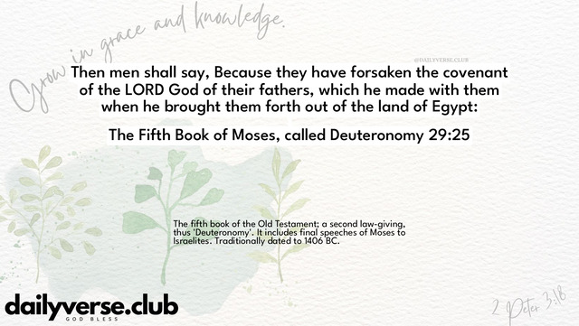 Bible Verse Wallpaper 29:25 from The Fifth Book of Moses, called Deuteronomy
