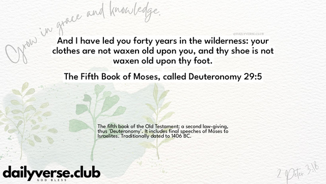 Bible Verse Wallpaper 29:5 from The Fifth Book of Moses, called Deuteronomy