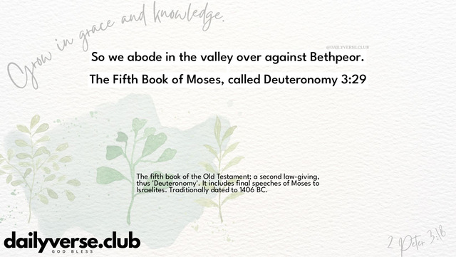 Bible Verse Wallpaper 3:29 from The Fifth Book of Moses, called Deuteronomy