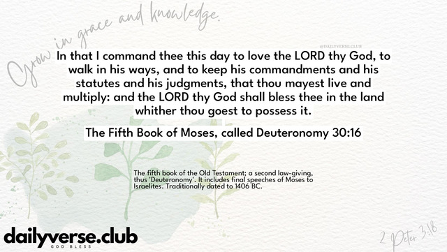 Bible Verse Wallpaper 30:16 from The Fifth Book of Moses, called Deuteronomy