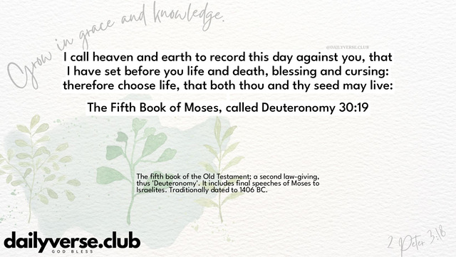 Bible Verse Wallpaper 30:19 from The Fifth Book of Moses, called Deuteronomy