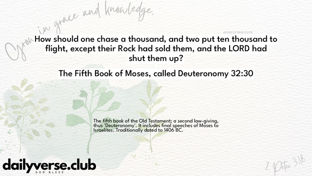 Bible Verse Wallpaper 32:30 from The Fifth Book of Moses, called Deuteronomy