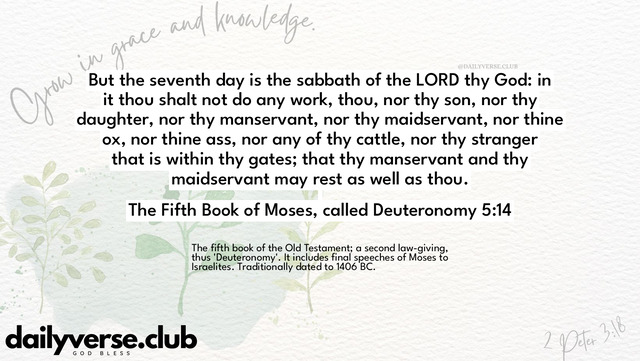 Bible Verse Wallpaper 5:14 from The Fifth Book of Moses, called Deuteronomy