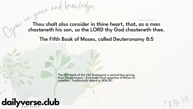 Bible Verse Wallpaper 8:5 from The Fifth Book of Moses, called Deuteronomy